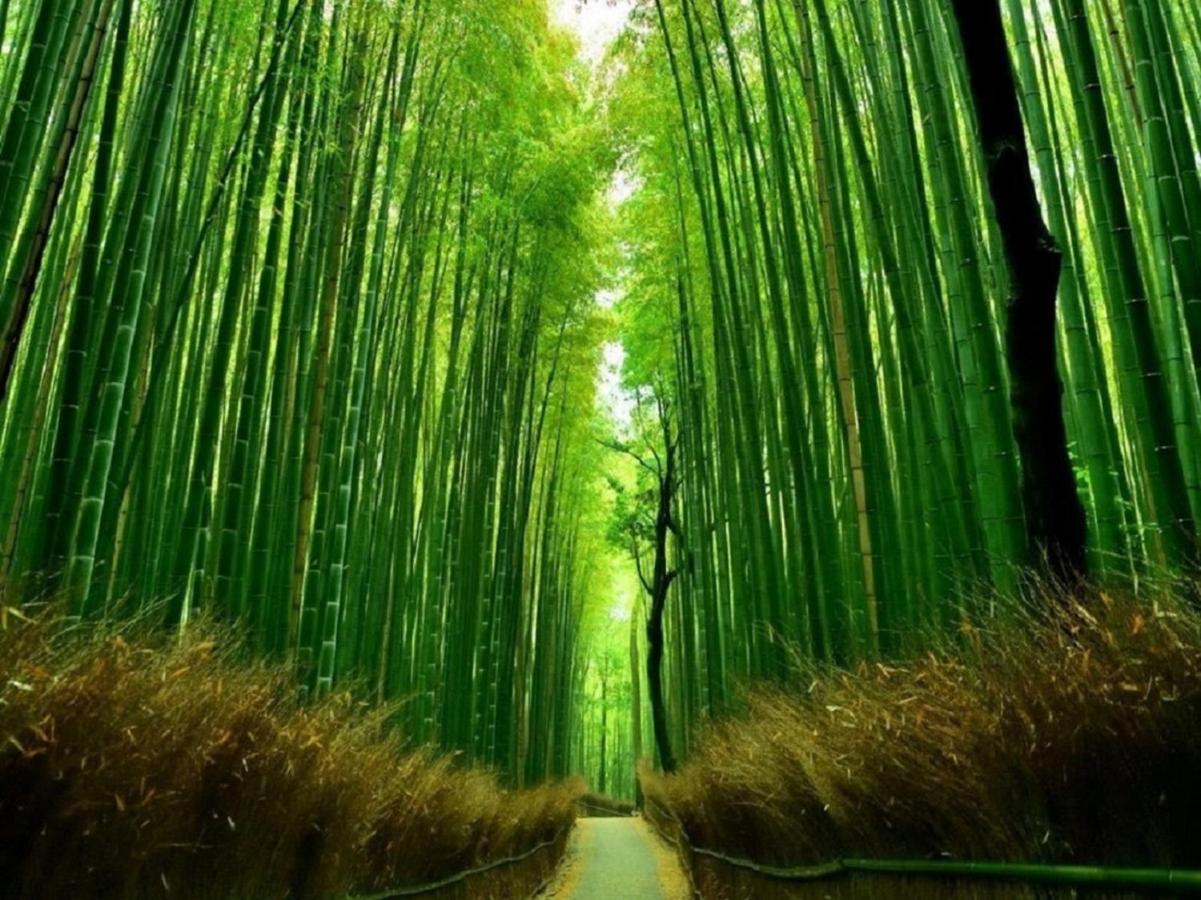 町屋 月 Machiya Tsuki Villa เกียวโต ภายนอก รูปภาพ